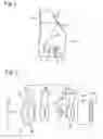 Fig. 02 - Projection lens system and projector