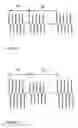 Fig. 04 - Stepped time based servo pattern and head
