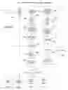 Fig. 34 - Method of detecting run-dry conditions in fuel systems
