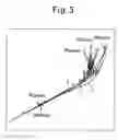 Fig. 03 - Method and apparatus for triggering of lightning discharge