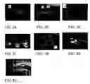 Fig. 09 - Changing color LEDS