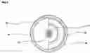 Fig. 09 - Flickering device for automobile wheel