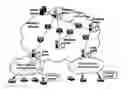 Fig. 01 - Application-layer multicast for mobile users in diverse networks