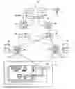 Fig. 01 - Data communication system, backup server, and communication control apparatus