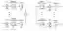 Fig. 01 - Spatio-temporal processing for communication