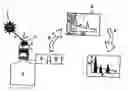 Fig. 01 - Method and device for promptly conducting non-destructive chemical analysis of test objects