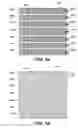 Fig. 05 - Focused parametric array