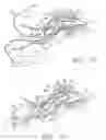 Fig. 09 - Semi-permanent canal hearing device