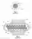 Fig. 02 - Acoustic loudspeaker