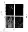 Fig. 08 - Illumination invariant change detection