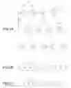 Fig. 03 - Slide member, manufacturing method and manufacturing apparatus of the same