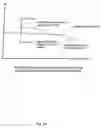 Fig. 35 - Rotary blood pump and control system therefor