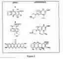 Fig. 02 - Methods of applying antibiotic compounds to polyurethane biomaterials using textile dyeing technology