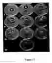 Fig. 13 - Methods of applying antibiotic compounds to polyurethane biomaterials using textile dyeing technology