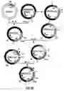 Fig. 04 - Production of chimeric mouse-human antibodies with specificity to human tumor antigens