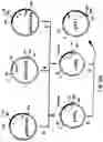 Fig. 29 - Production of chimeric mouse-human antibodies with specificity to human tumor antigens