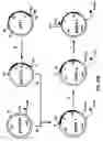 Fig. 30 - Production of chimeric mouse-human antibodies with specificity to human tumor antigens