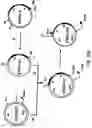 Fig. 53 - Production of chimeric mouse-human antibodies with specificity to human tumor antigens