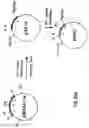 Fig. 58 - Production of chimeric mouse-human antibodies with specificity to human tumor antigens
