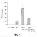 Fig. 06 - Genes encoding single chain human leukocyte antigen E (HLA-E) proteins to prevent natural killer cell-mediated cytotoxicity and cytotoxic T Lymphocyte (CTL)-mediated cytotoxicity