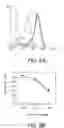 Fig. 07 - Genes encoding single chain human leukocyte antigen E (HLA-E) proteins to prevent natural killer cell-mediated cytotoxicity and cytotoxic T Lymphocyte (CTL)-mediated cytotoxicity