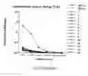 Fig. 79 - Non-pathogenic strains of HIV-1