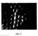 Fig. 04 - Alginate gel scaffold having a plurality of continuous parallel microtubular copper capillaries