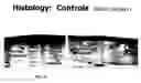 Fig. 07 - Engineered proteins, and methods of making and using