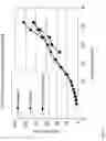 Fig. 04 - Process for co-spray drying agents with dry silicified MCC