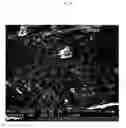 Fig. 08 - Polymeric compositions and dosage forms comprising the same