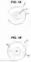 Fig. 02 -  Polymeric compositions and dosage forms comprising the same