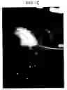 Fig. 04 - Particulate cartilage compositions, processes for their preparation and methods for regenerating cartilage
