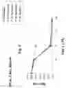 Fig. 06 - Process for inhibiting cell proliferation