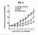 Fig. 07 - Herbal composition PHY906 and its use in chemotherapy