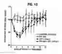 Fig. 11 - Herbal composition PHY906 and its use in chemotherapy