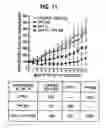 Fig. 12 - Herbal composition PHY906 and its use in chemotherapy