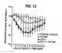 Fig. 13 - Herbal composition PHY906 and its use in chemotherapy