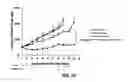 Fig. 24 - Herbal composition PHY906 and its use in chemotherapy
