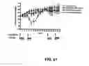 Fig. 28 - Herbal composition PHY906 and its use in chemotherapy