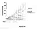 Fig. 34 - Herbal composition PHY906 and its use in chemotherapy