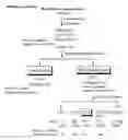 Fig. 02 - leaf extract compositions and methods of obtaining the same