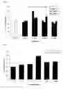 Fig. 02 - Methods using Lycium barbarum extracts as neuroprotective agents for retinal ganglion cells degeneration