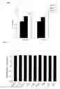 Fig. 05 - Methods using Lycium barbarum extracts as neuroprotective agents for retinal ganglion cells degeneration