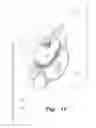 Fig. 04 - Air freshener