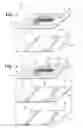 Fig. 02 - Destructible privacy label