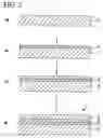 Fig. 03 - Decorative article, method of manufacturing same, and timepiece