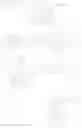 Fig. 27 - Polymeric compound and organic luminescence device