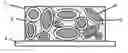 Fig. 01 - Novel composite cathodes, eletrochemical cells comprising novel composite cathodes, and processes for fabricating same