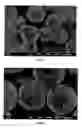 Fig. 08 - Toner, method for producing toner, two component developer, and image forming apparatus