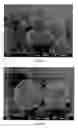 Fig. 10 - Toner, method for producing toner, two component developer, and image forming apparatus